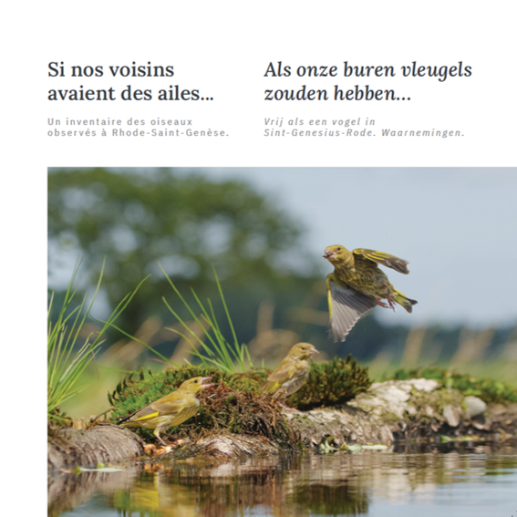 Als onze buren vleugels zouden hebben...